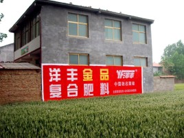 龙山如何让墙体广告展现最大化效果