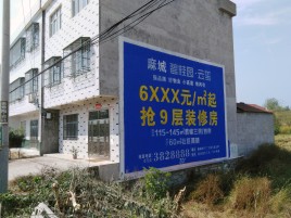 龙山墙体广告质量分析