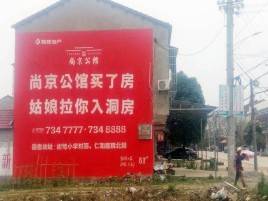 龙山墙体广告在乡镇、农村市场的媒体优势