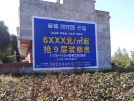 龙山品牌公司青睐的墙体广告