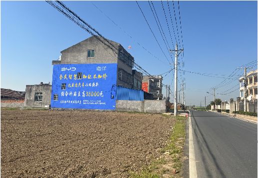 龙山墙体广告用的是什么漆？