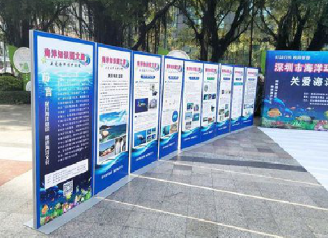 龙山KT板的种类和知识。